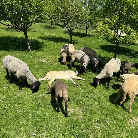 Casa Mariei Vakantieboerderij