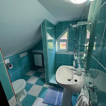 Casa Mariei Vama Buzăului